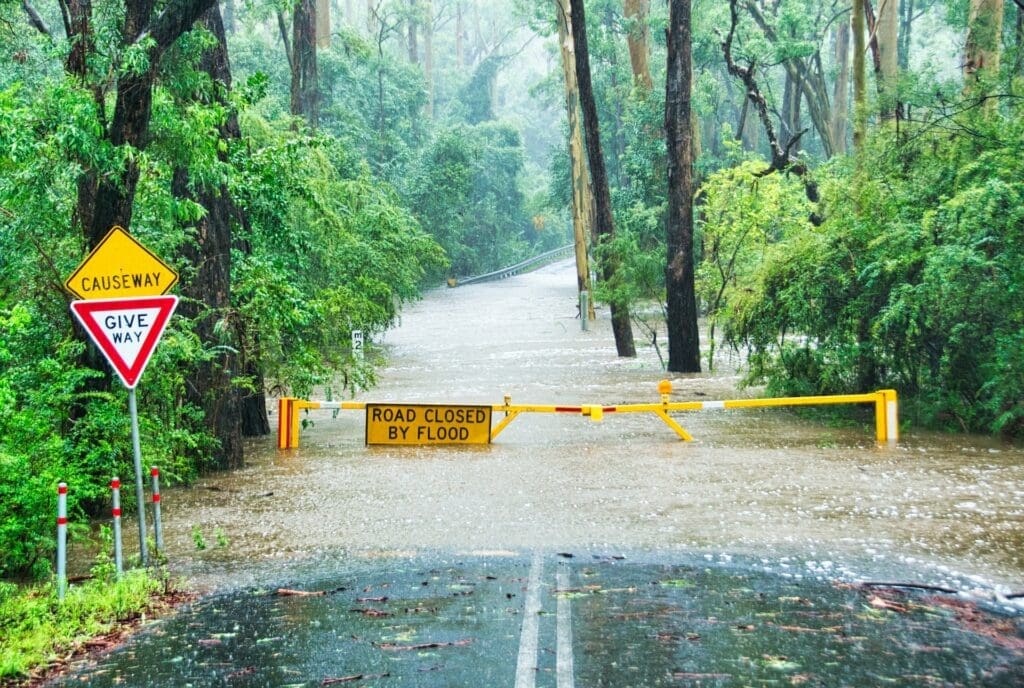 After the Flood: Steps to Take for Safe and Effective Cleanup