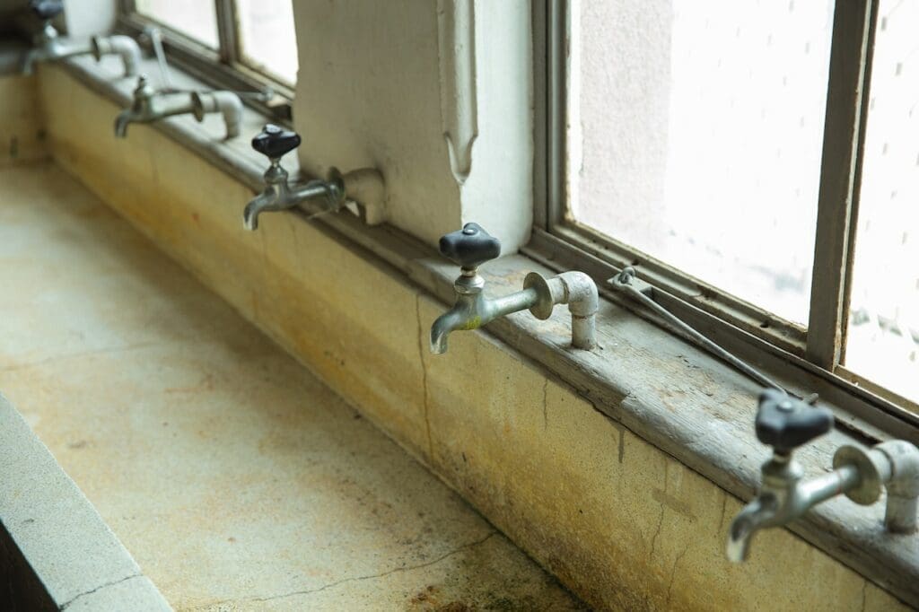 How to Deal with Mold in Your House