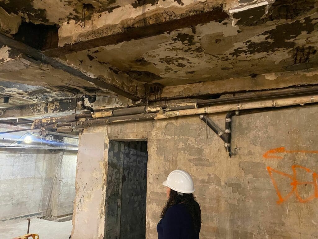 The Financial Impact of Water Damage and the Value of Professional Mitigation