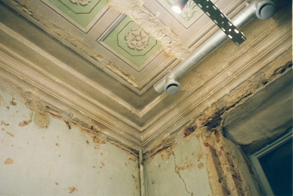 The Big Five: The Most Common Types of Mold Found in Your Home